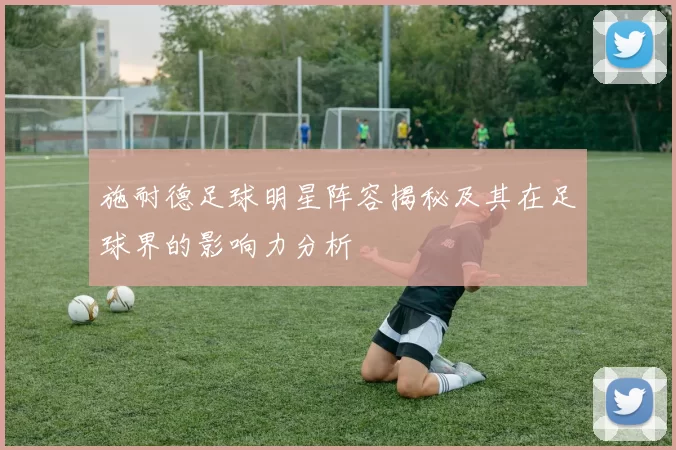施耐德足球明星阵容揭秘及其在足球界的影响力分析