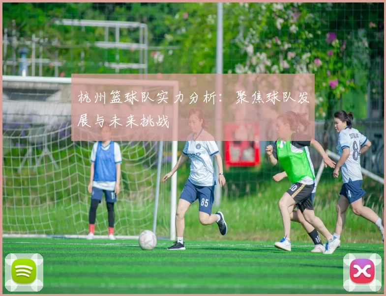 杭州篮球队实力分析：聚焦球队发展与未来挑战