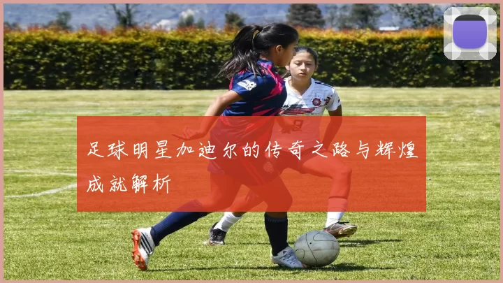 足球明星加迪尔的传奇之路与辉煌成就解析