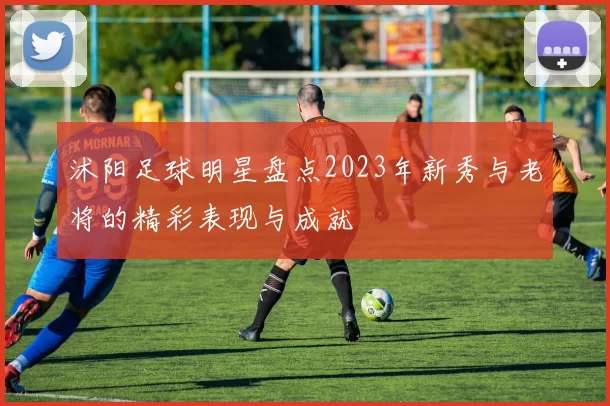 沭阳足球明星盘点2023年新秀与老将的精彩表现与成就