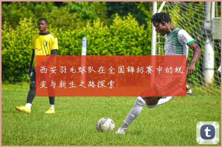 西安羽毛球队在全国锦标赛中的蜕变与新生之路探索
