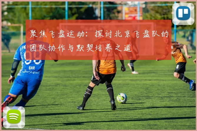 聚焦飞盘运动：探讨北京飞盘队的团队协作与默契培养之道