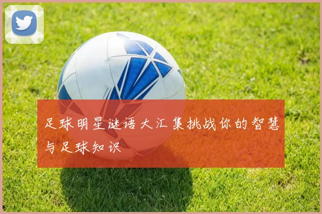 足球明星谜语大汇集挑战你的智慧与足球知识