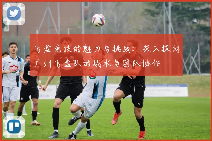 飞盘竞技的魅力与挑战：深入探讨广州飞盘队的战术与团队协作