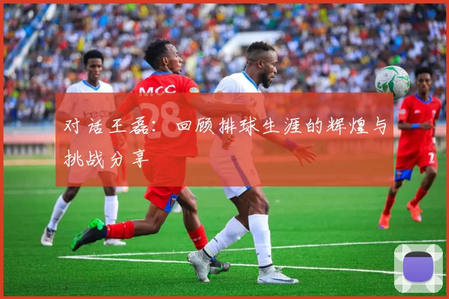 对话王磊：回顾排球生涯的辉煌与挑战分享