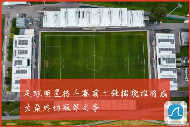 足球明星格斗赛前十强揭晓谁将成为最终的冠军之争