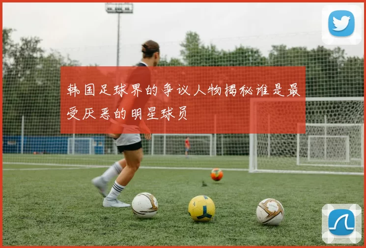 韩国足球界的争议人物揭秘谁是最受厌恶的明星球员