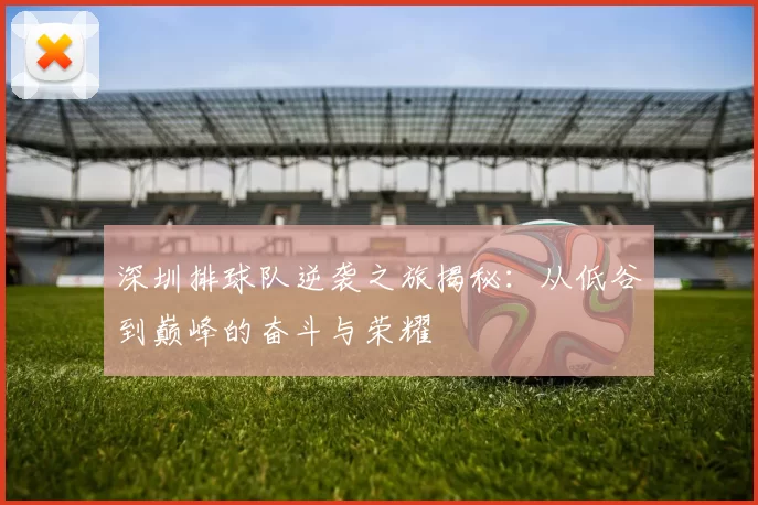 深圳排球队逆袭之旅揭秘：从低谷到巅峰的奋斗与荣耀
