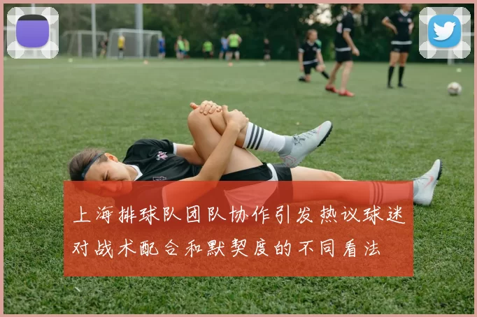 上海排球队团队协作引发热议球迷对战术配合和默契度的不同看法
