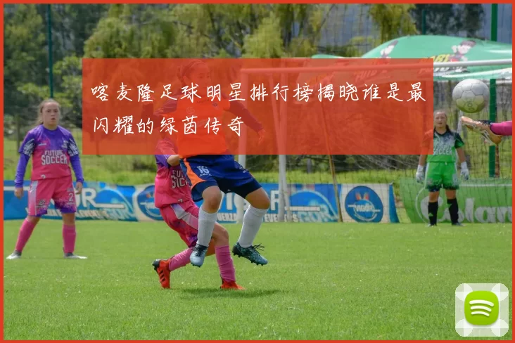 喀麦隆足球明星排行榜揭晓谁是最闪耀的绿茵传奇
