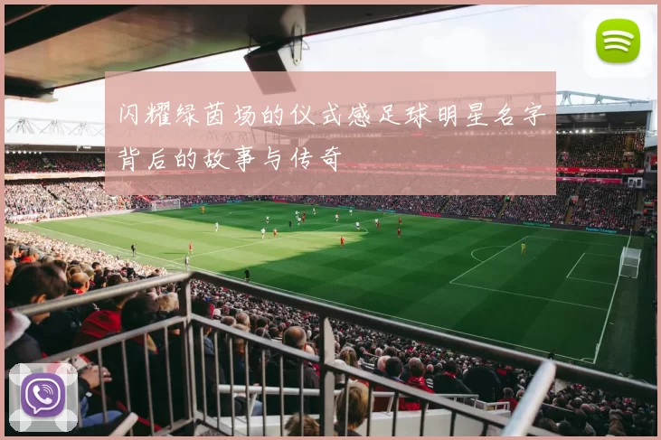 闪耀绿茵场的仪式感足球明星名字背后的故事与传奇
