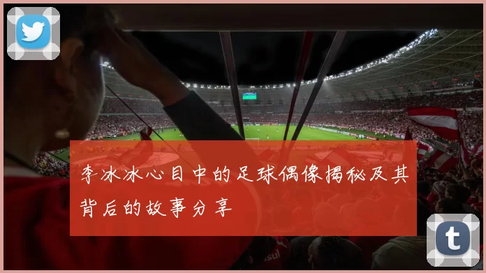 李冰冰心目中的足球偶像揭秘及其背后的故事分享