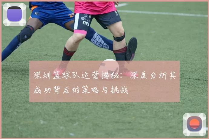 深圳篮球队运营揭秘：深度分析其成功背后的策略与挑战